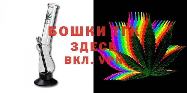 прущий лед Горно-Алтайск