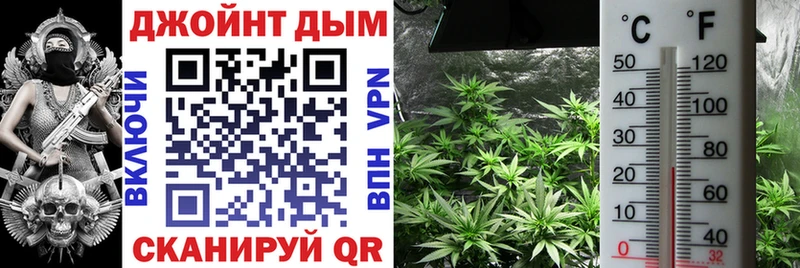 Марихуана SATIVA & INDICA  Купить  Чекалин 